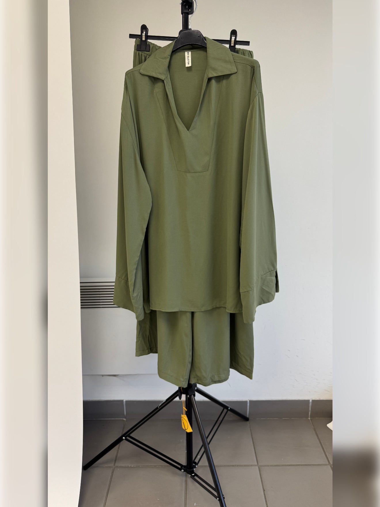 Ensemble AMIRA - P1